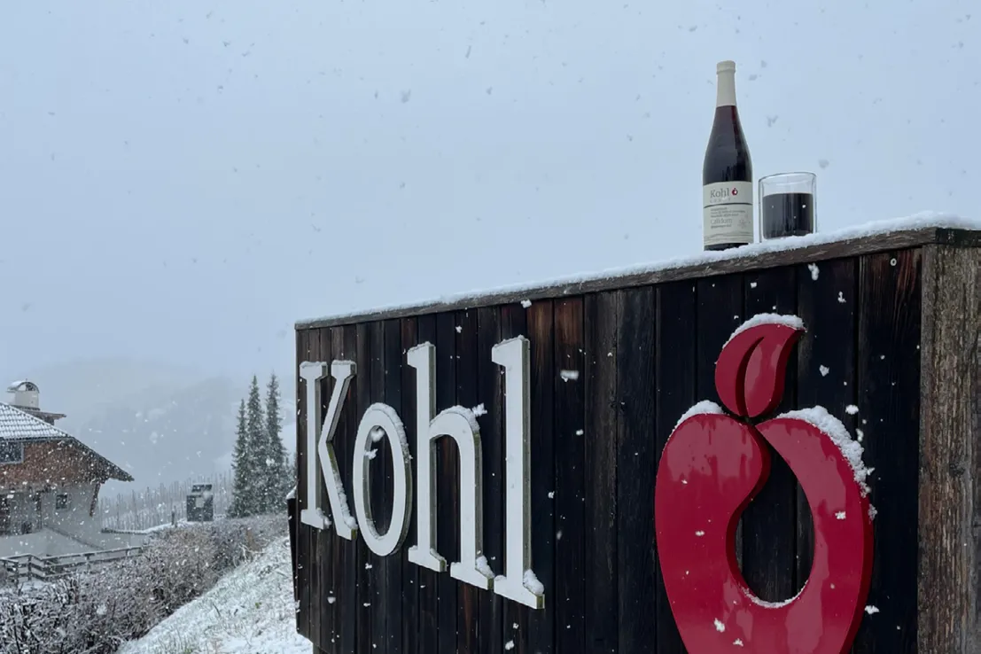 MOUNTAIN APPLE JUICE - CALIDUM 750ml |黑接骨木風味純山蘋果汁 - 暖醇:圖片 2